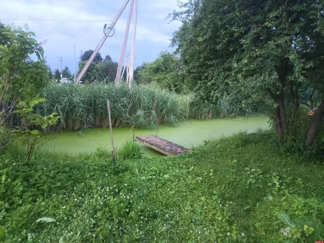 Полуторагодовалый ребенок утонул в водоеме в Бежаницах
