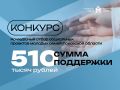 Молодые семьи Псковской области могут получить до 510 тысяч рублей на свои проекты