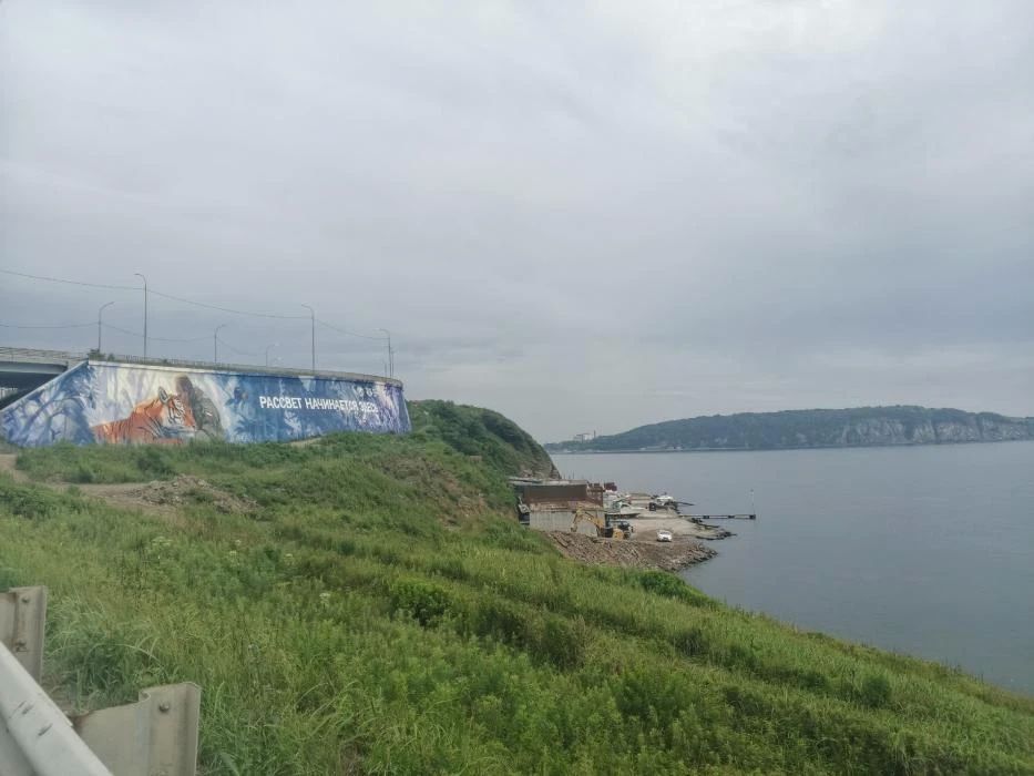 10 225 километров и 74 дня в пути: псковский велопутешественник достиг Владивостока 10 225 километров и 74 дня в пути: псковский велопутешественник достиг Владивостока