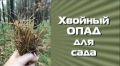 ������� ����: ������� �������������������� ������������� � �����������