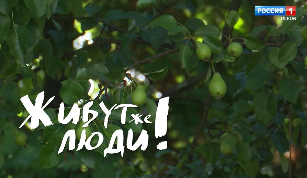 Живут же люди! Петровы. Эфир 12.07.2026