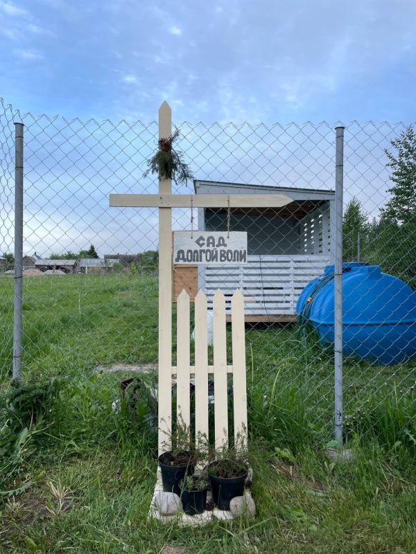 В Печорском районе растёт необычный яблоневый сад В Печорском районе растёт необычный яблоневый сад