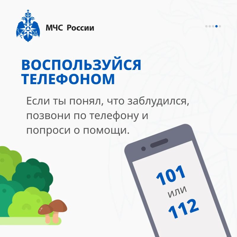 Туристический поход: советы от #МЧСПсков Туристический поход: советы от #МЧСПсков