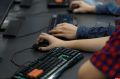 Работодатели Псковской области стали на 19% чаще искать сотрудников