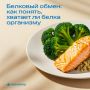Как узнать, хватает ли организму белка: важность анализа преальбумина