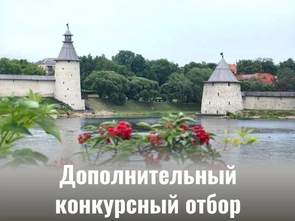 Министерство туризма Псковской области проводит дополнительный конкурсный отбор общественных инициатив и проектов, направленных на развитие туристской инфраструктуры в 2026 году