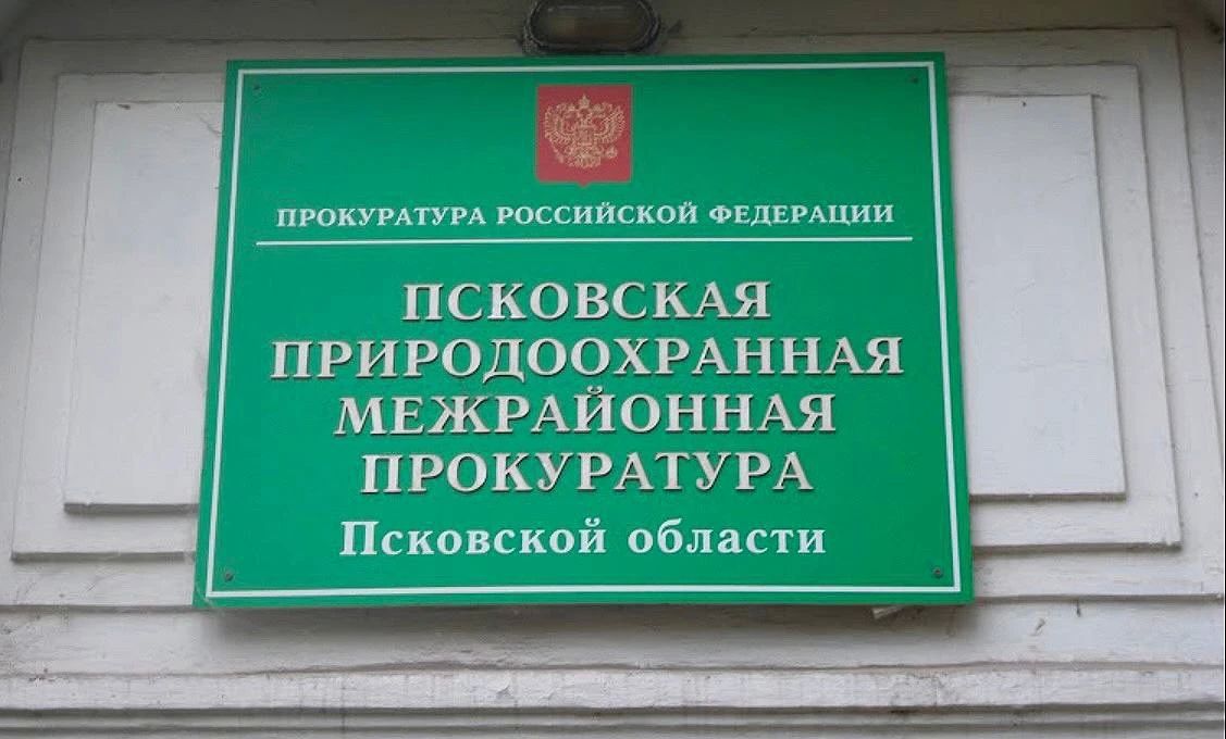 Псковская природоохранная прокуратура добивается возмещения ущерба на сумму более 26 млн рублей за незаконную добычу пород