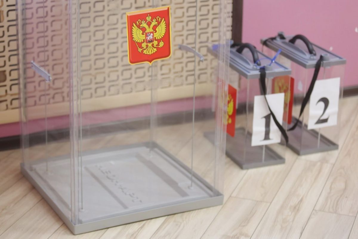 Девять партий подали документы на выборы в Псковской области