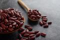 Фасоль: не только источник белка, но и суперпродукт для вашего рациона