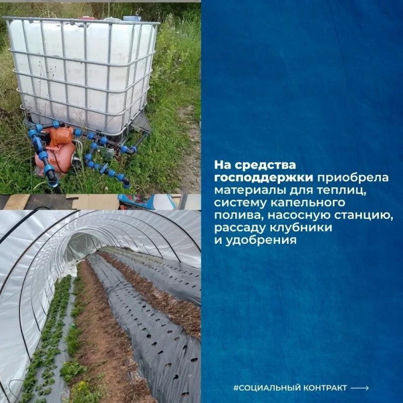 Социальный контракт помог превратить любовь к земледелию в прибыльное семейное дело Социальный контракт помог превратить любовь к земледелию в прибыльное семейное дело
