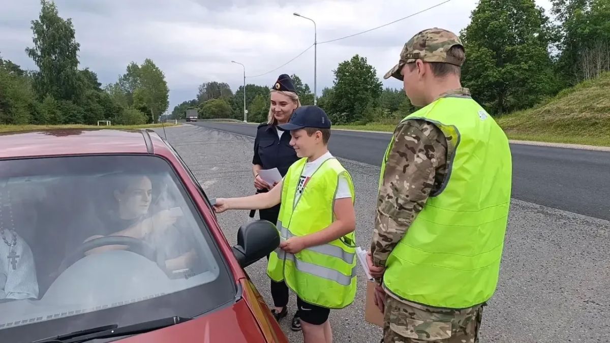 В Псковской области прошла профилактическая акция «Внимание, аисты!» В Псковской области прошла профилактическая акция «Внимание, аисты!»
