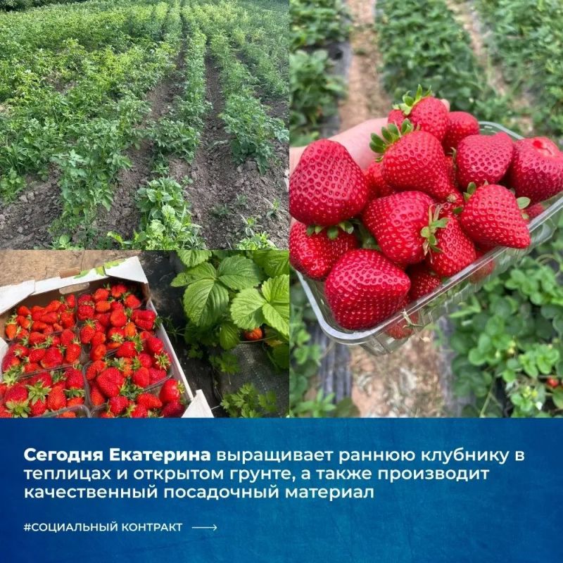 Социальный контракт помог превратить любовь к земледелию в прибыльное семейное дело Социальный контракт помог превратить любовь к земледелию в прибыльное семейное дело