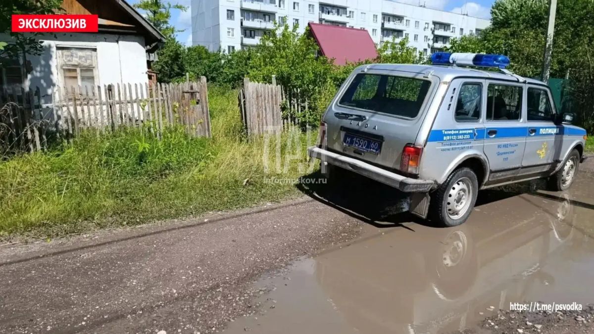 Совместное распитие алкоголя в Дно закончилось ножевым ранением Совместное распитие алкоголя в Дно закончилось ножевым ранением