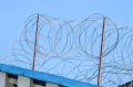 Посадил на цепь и избил: житель Дно отправится в колонию за пытки знакомого