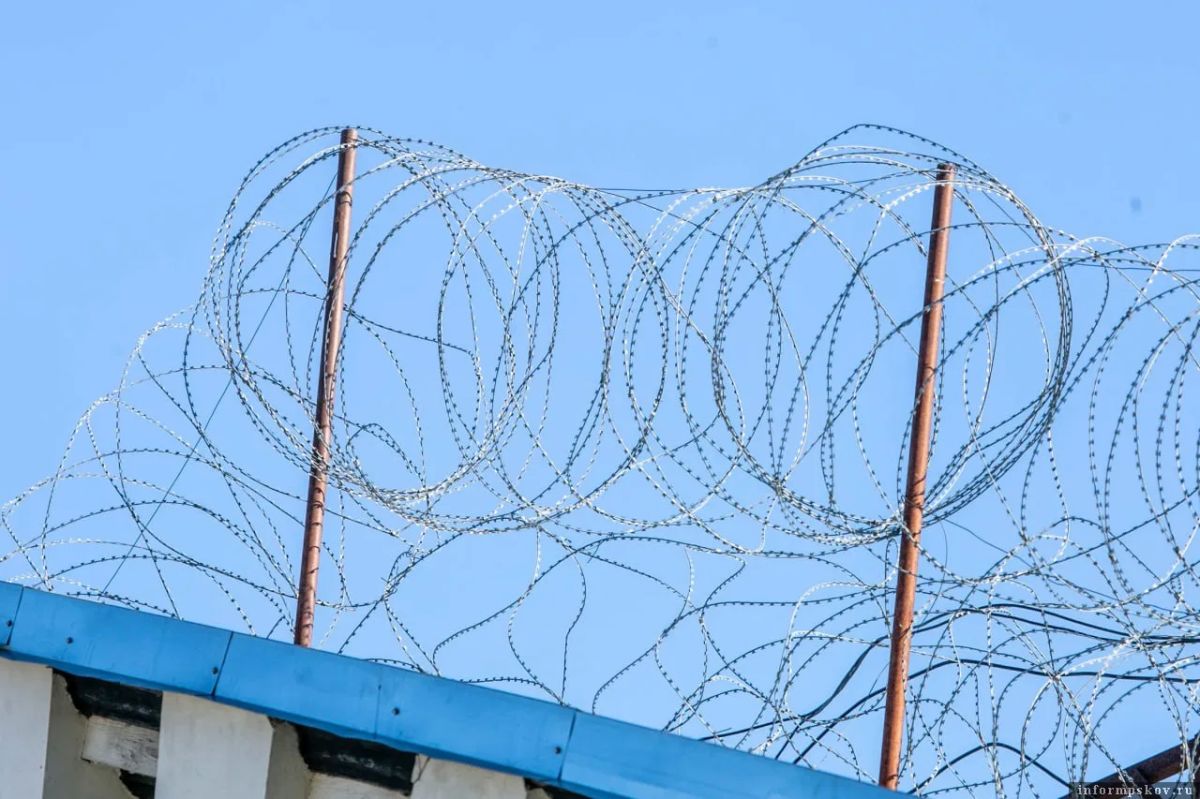 Посадил на цепь и избил: житель Дно отправится в колонию за пытки знакомого