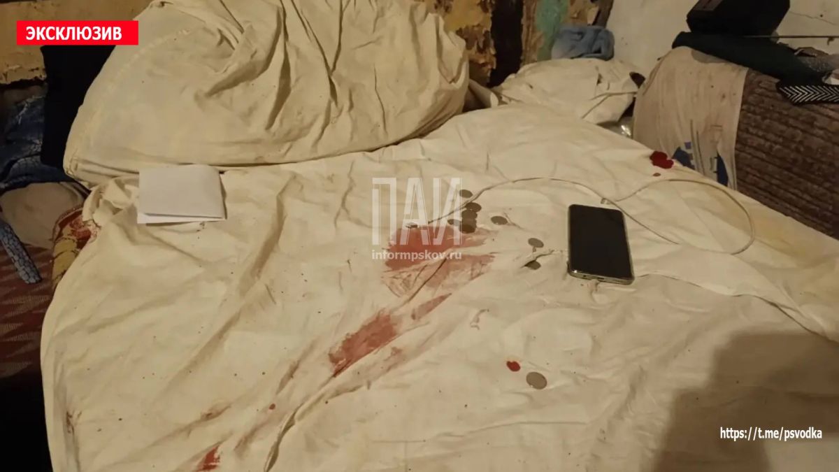 В Дно, на улице Интернациональной в доме 21, в ходе конфликта мужчина получил ножевое ранение В Дно, на улице Интернациональной в доме 21, в ходе конфликта мужчина получил ножевое ранение