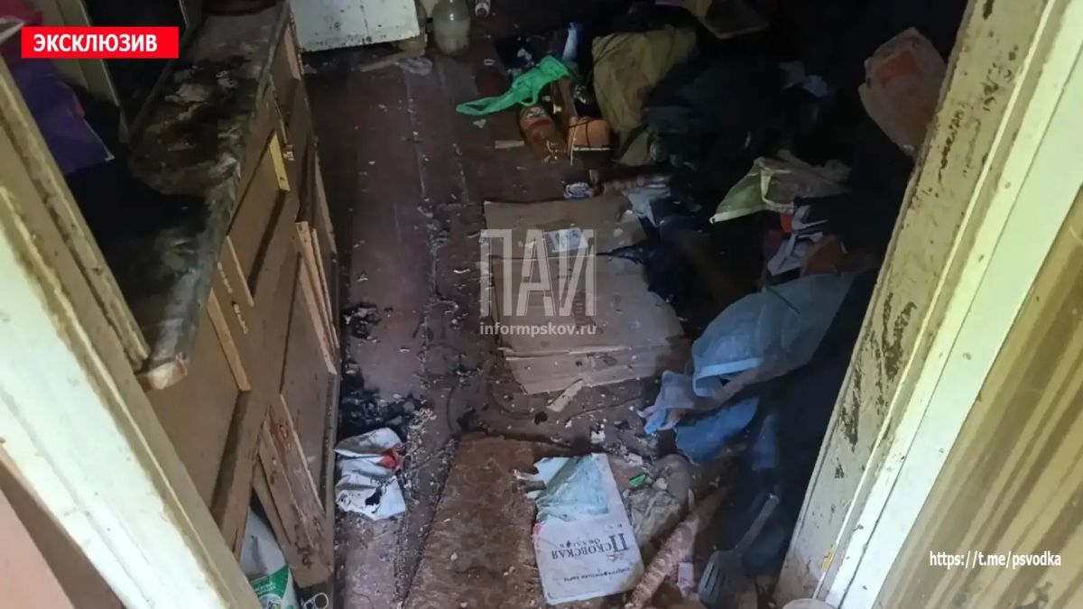 Совместное распитие алкоголя в Дно закончилось ножевым ранением Совместное распитие алкоголя в Дно закончилось ножевым ранением