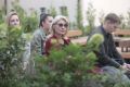 Фестиваль «Западные ворота» на площадке ПАИ: день первый