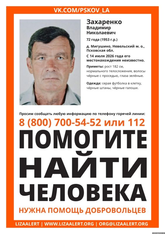 «ЛизаАлерт» просит помощи у автомобилистов: под Невелем пропал 72-летний пенсионер