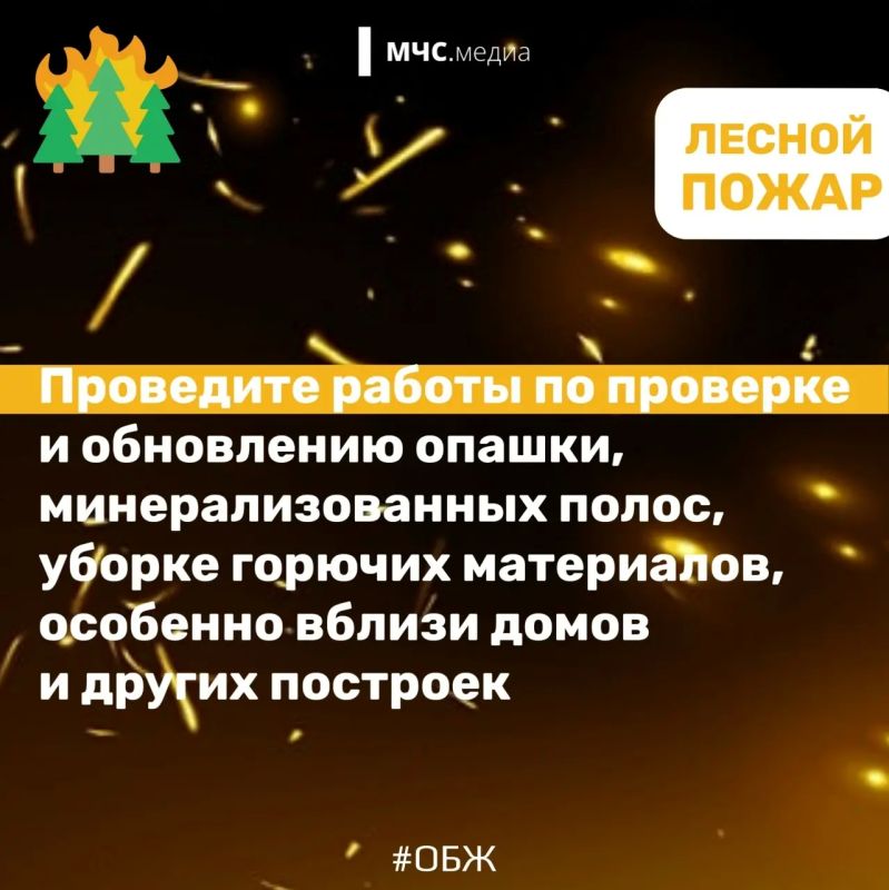 Не дай лесу сгореть!. Лес дарит нам спокойствие, грибные тропы и ягодные поляны Не дай лесу сгореть!. Лес дарит нам спокойствие, грибные тропы и ягодные поляны