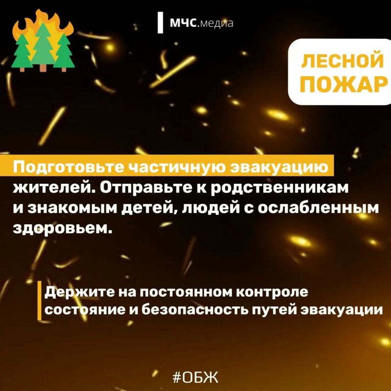 Не дай лесу сгореть!. Лес дарит нам спокойствие, грибные тропы и ягодные поляны Не дай лесу сгореть!. Лес дарит нам спокойствие, грибные тропы и ягодные поляны