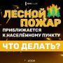 Не дай лесу сгореть!. Лес дарит нам спокойствие, грибные тропы и ягодные поляны