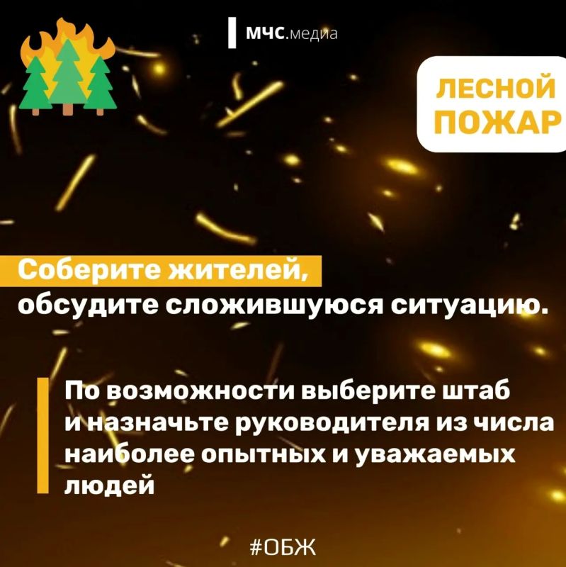 Не дай лесу сгореть!. Лес дарит нам спокойствие, грибные тропы и ягодные поляны Не дай лесу сгореть!. Лес дарит нам спокойствие, грибные тропы и ягодные поляны