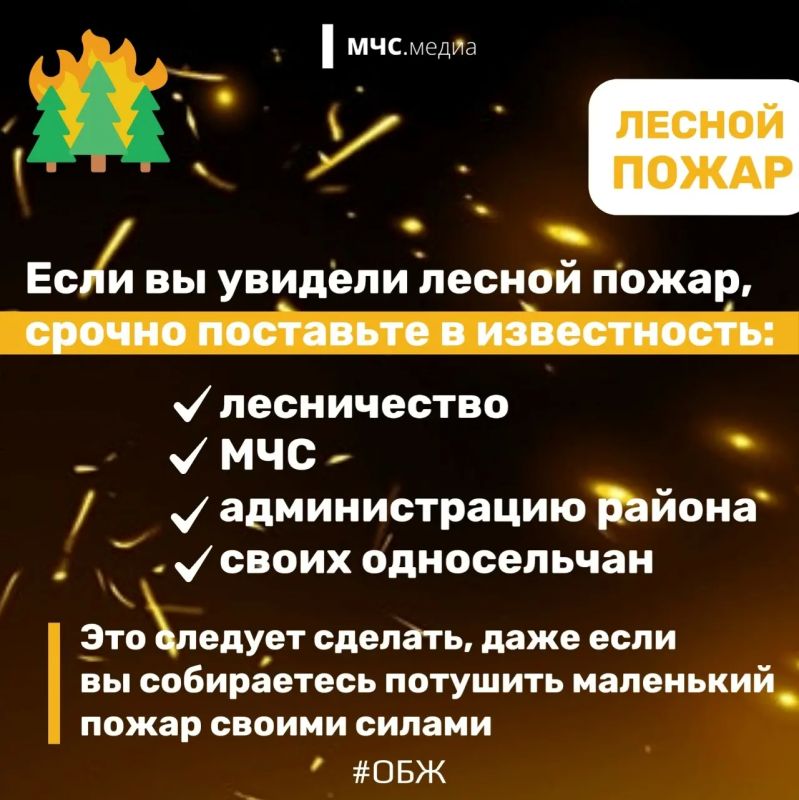 Не дай лесу сгореть!. Лес дарит нам спокойствие, грибные тропы и ягодные поляны Не дай лесу сгореть!. Лес дарит нам спокойствие, грибные тропы и ягодные поляны
