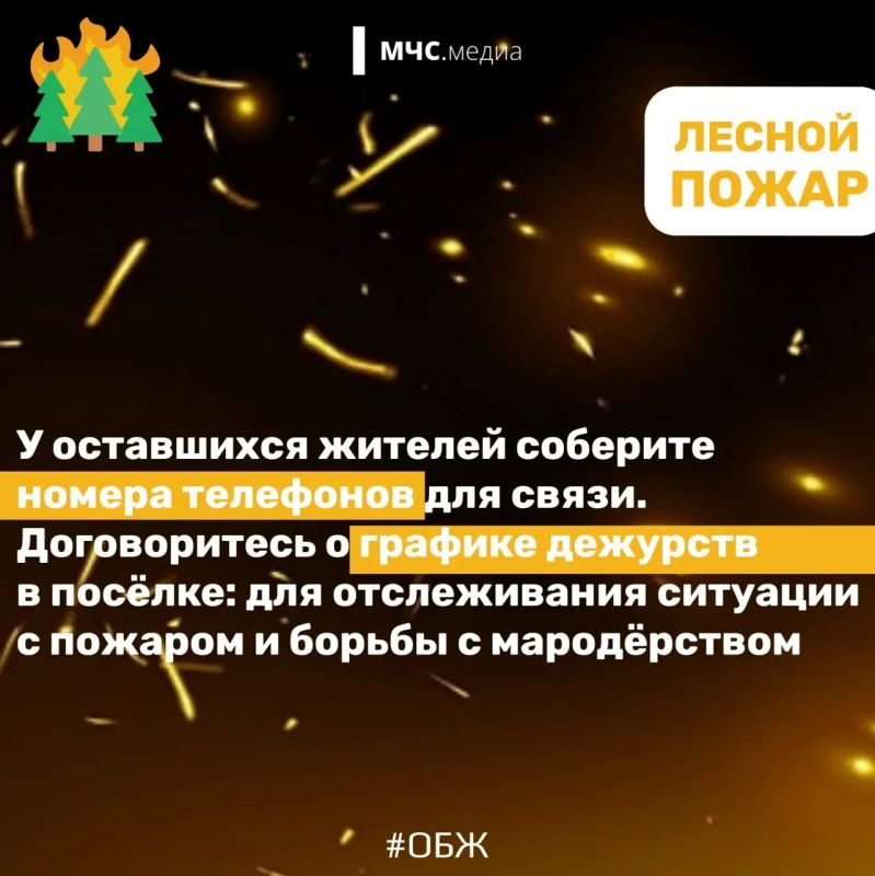 Не дай лесу сгореть!. Лес дарит нам спокойствие, грибные тропы и ягодные поляны Не дай лесу сгореть!. Лес дарит нам спокойствие, грибные тропы и ягодные поляны