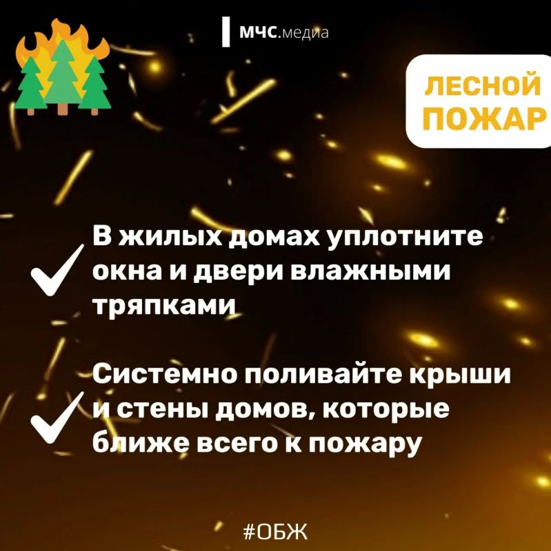 Не дай лесу сгореть!. Лес дарит нам спокойствие, грибные тропы и ягодные поляны Не дай лесу сгореть!. Лес дарит нам спокойствие, грибные тропы и ягодные поляны