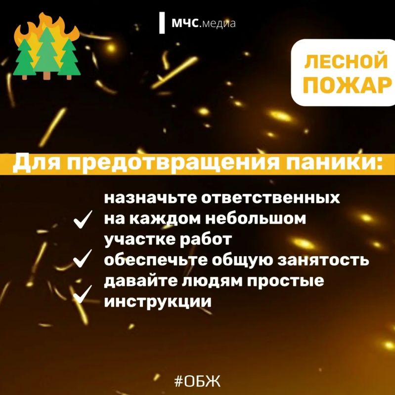 Не дай лесу сгореть!. Лес дарит нам спокойствие, грибные тропы и ягодные поляны Не дай лесу сгореть!. Лес дарит нам спокойствие, грибные тропы и ягодные поляны