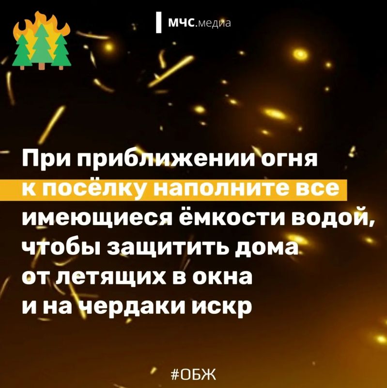 Не дай лесу сгореть!. Лес дарит нам спокойствие, грибные тропы и ягодные поляны Не дай лесу сгореть!. Лес дарит нам спокойствие, грибные тропы и ягодные поляны
