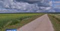 Псковские аграрии ждут рекордный урожай рапса