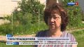До +30 в августе: синоптики обещают жару, а спасатели напоминают об опасности