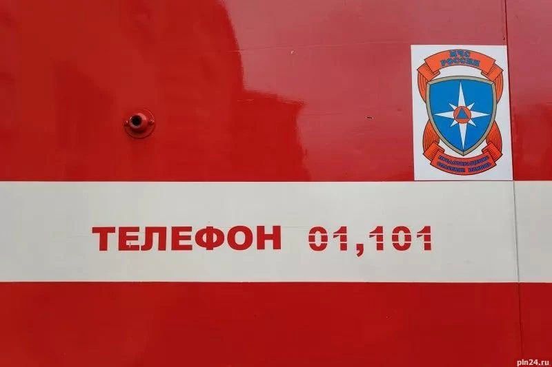 МЧС обнародовало статистику по пожарам в Псковской области за 7 месяцев