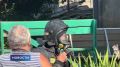 Сводка чрезвычайных происшествий