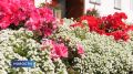 8 августа Россия отмечает День физкультурника