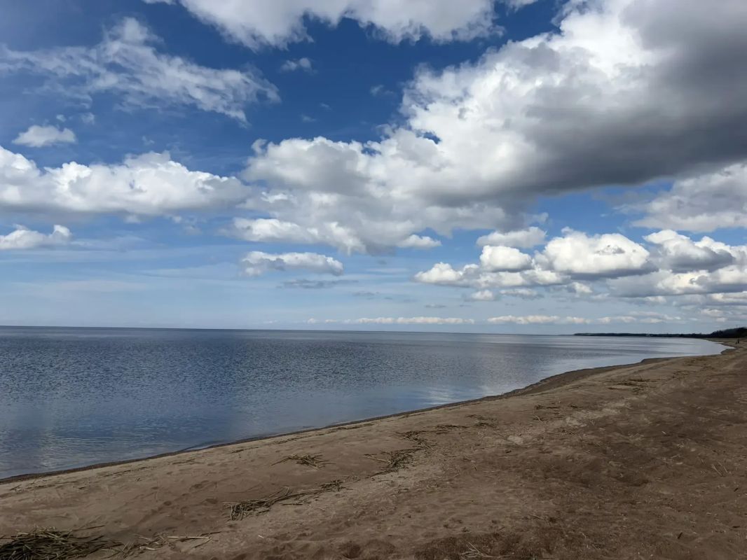 Безопасные и непригодные для купания пляжи назвали в Псковской области