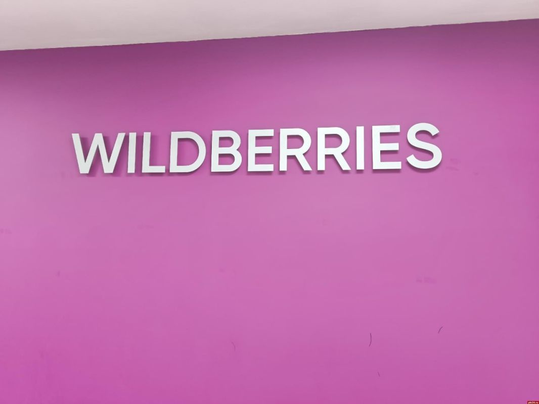 Склады на аутсорс: Wildberries запускает партнерскую программу по открытию логистических хабов