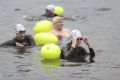 Пятый заплыв на открытой воде Swimcup прошёл сегодня в Пскове