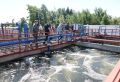 Губернатор проконтролировал выполнение масштабных работ по реконструкции очистных сооружений канализации в Гдове