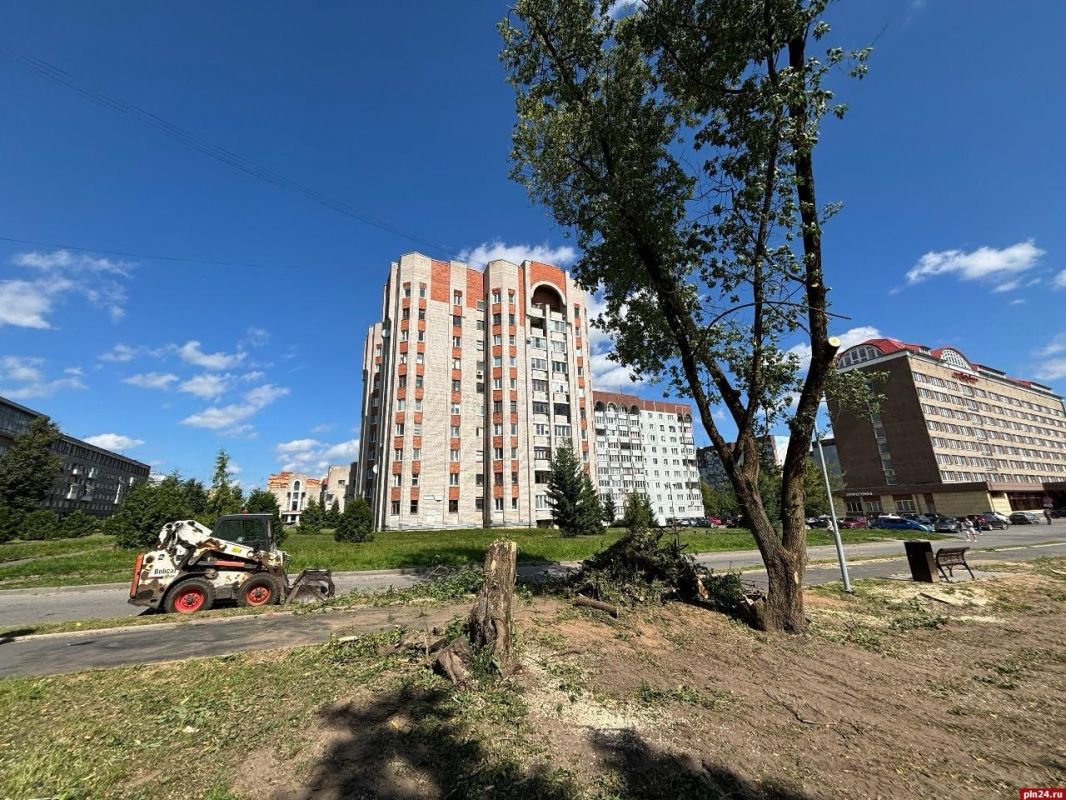 Санитарная обрезка: у гостиницы «Рижская» в Пскове спиливают аварийные деревья Санитарная обрезка: у гостиницы «Рижская» в Пскове спиливают аварийные деревья