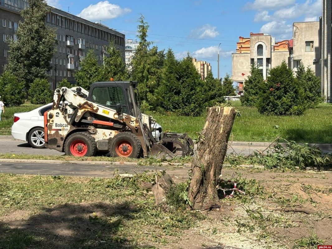 Санитарная обрезка: у гостиницы «Рижская» в Пскове спиливают аварийные деревья Санитарная обрезка: у гостиницы «Рижская» в Пскове спиливают аварийные деревья