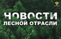 ����: � ���� �������� ������ ������, � �������� �������� ������ ���� �������