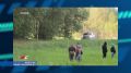 Новости спорта с Алексеем Соболевым