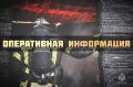 #ОперативноЗаСутки. За минувшие дежурные сутки пожарно-спасательные подразделения Псковской области реагировали на техногенный пожар в д. Орша Новоржевского МО. Бесхозное строение размером 2х3 метра повреждено огнем по всей...