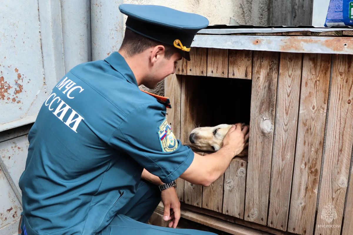 Сотрудники силовых ведомств Пскова вновь объединились ради доброго дела Сотрудники силовых ведомств Пскова вновь объединились ради доброго дела