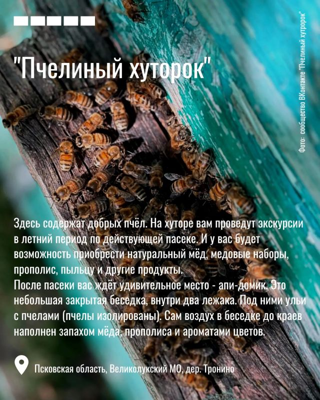 14 августа — Медовый спас. Куда ехать за настоящим псковским мёдом и душевным отдыхом? 14 августа — Медовый спас. Куда ехать за настоящим псковским мёдом и душевным отдыхом?
