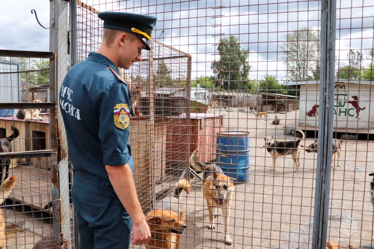 Сотрудники силовых ведомств Пскова вновь объединились ради доброго дела Сотрудники силовых ведомств Пскова вновь объединились ради доброго дела