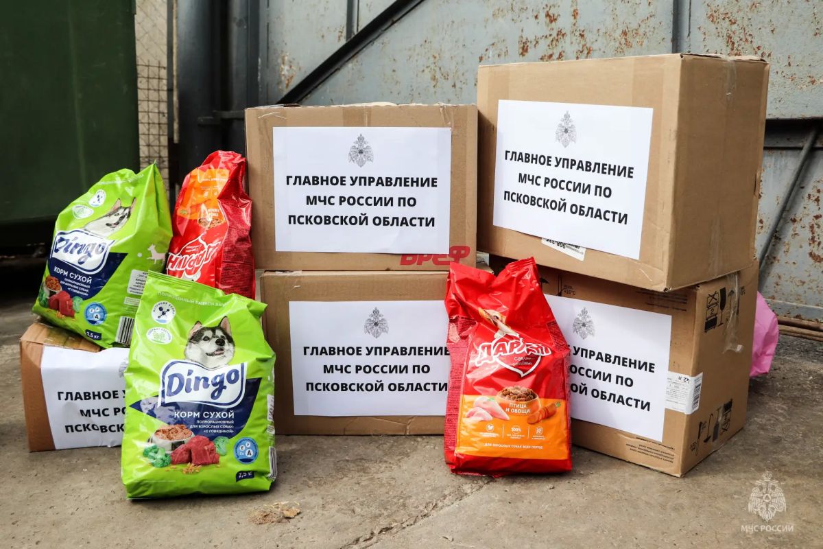 Сотрудники силовых ведомств Пскова вновь объединились ради доброго дела Сотрудники силовых ведомств Пскова вновь объединились ради доброго дела